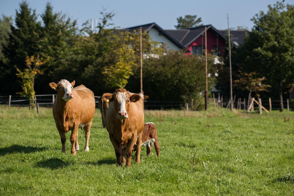 Landgasthof Gut Marienbildchen 3* Roetgen
